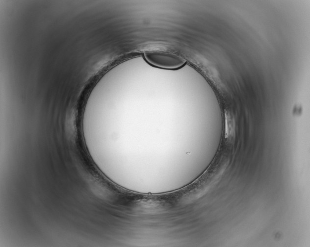 X0000102370300200808151841