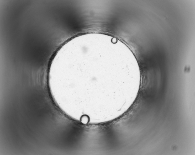 X0000102370301200808151841