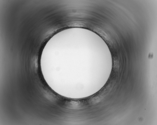 X0000102370302200808151841