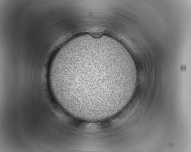 X0000102370303200808151841