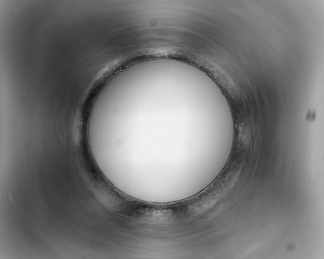 X0000102370304200808151841