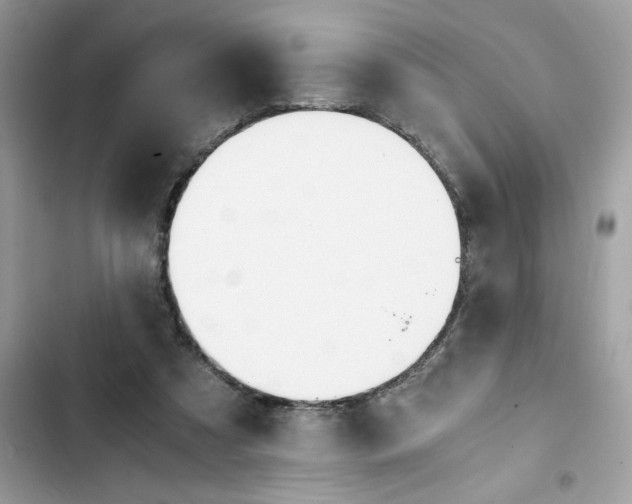 X0000102370305200808151841