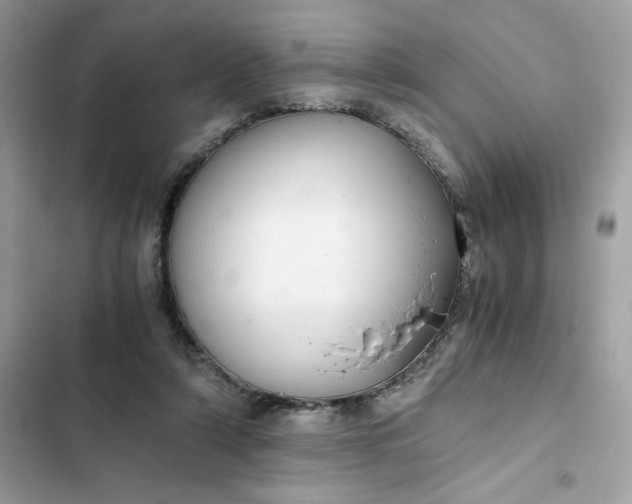 X0000102370306200808151841