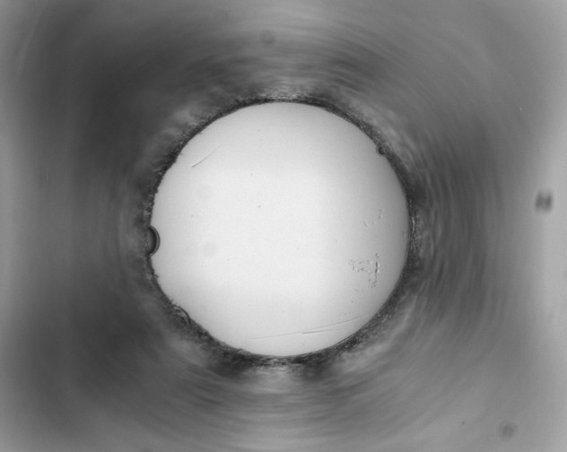 X0000102370307200808151841