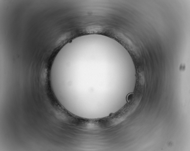 X0000102370308200808151841