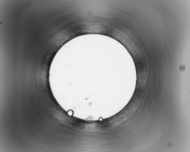 X0000102370309200808151841