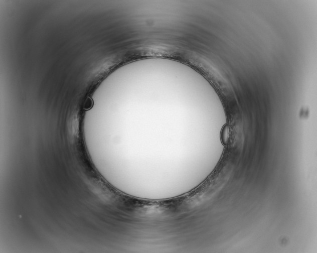 X0000102370310200808151841