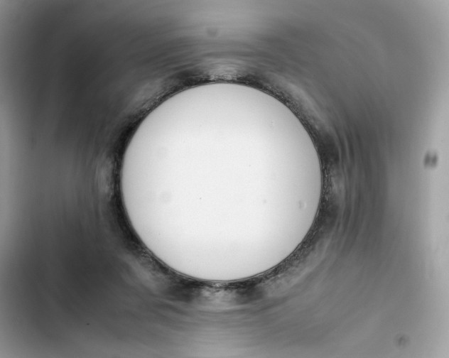 X0000102370311200808151841