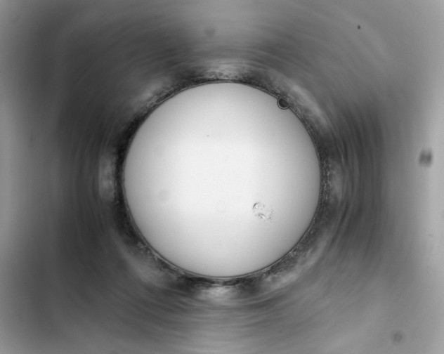 X0000102370312200808151841