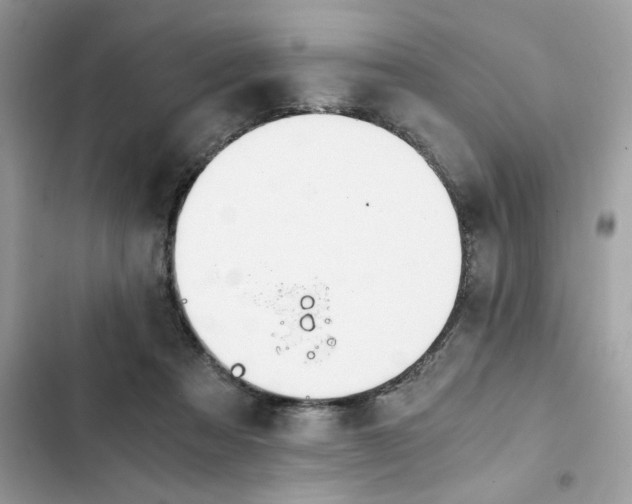 X0000102370313200808151841