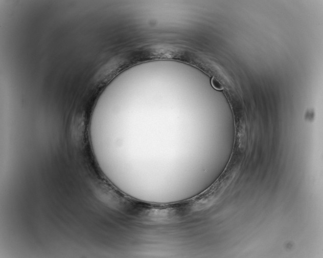 X0000102370314200808151841