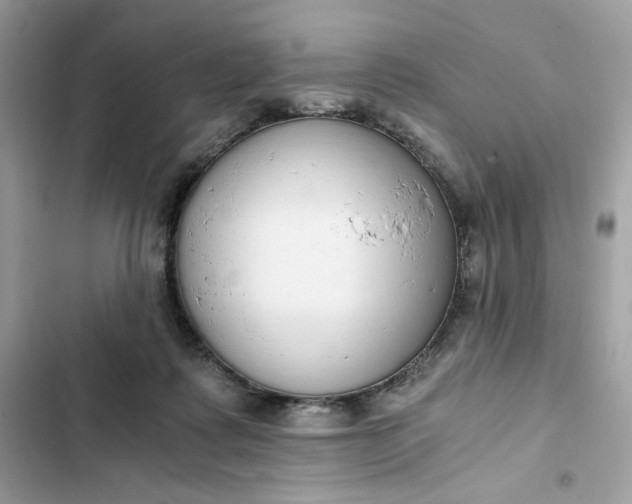 X0000102370315200808151841