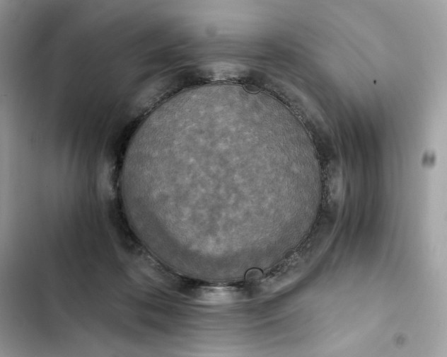 X0000102370316200808151841