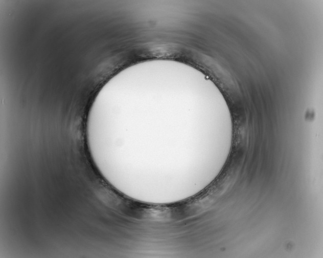 X0000102370317200808151841