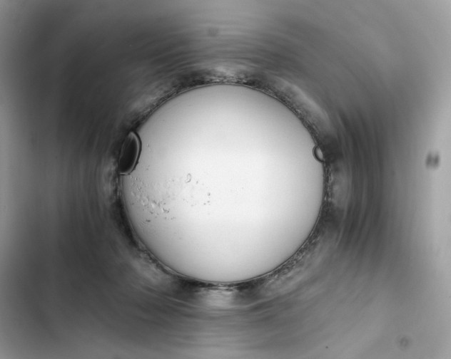 X0000102370318200808151841