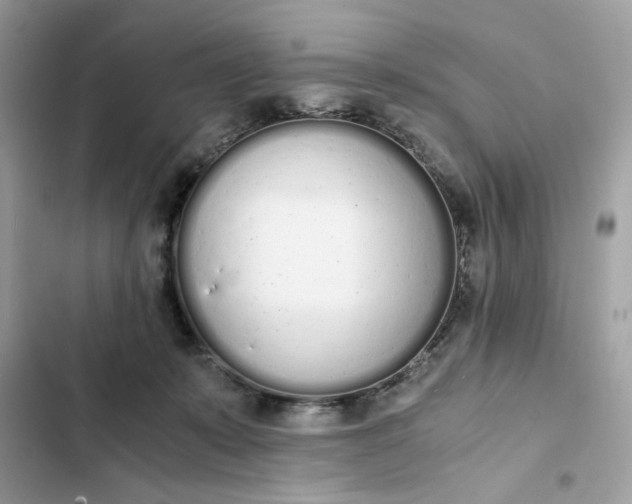 X0000102370319200808151841