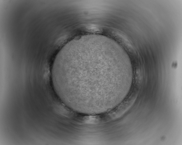 X0000102370320200808151841