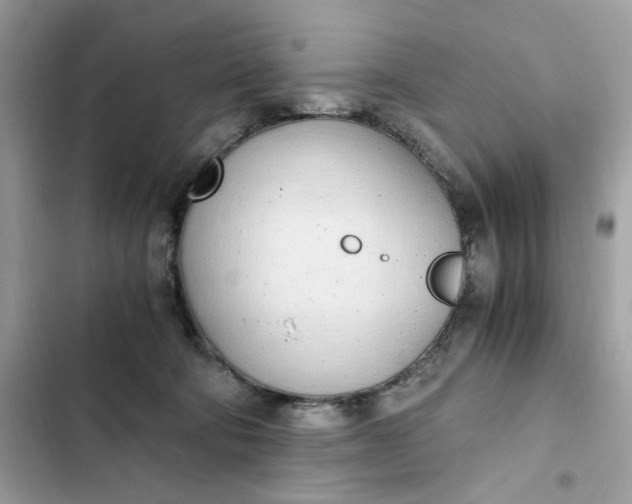 X0000102370322200808151841