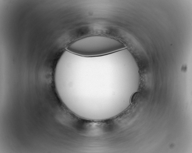 X0000102370323200808151841