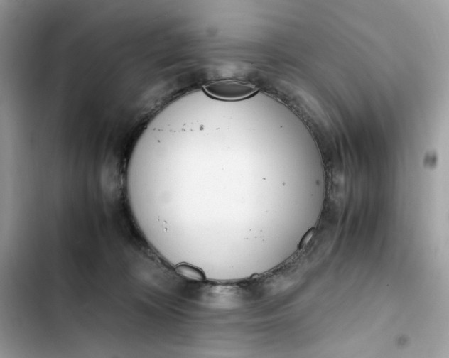 X0000102370324200808151841