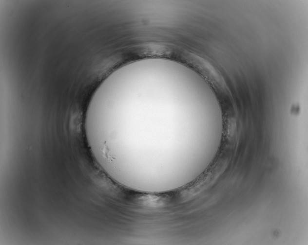 X0000102370326200808151841