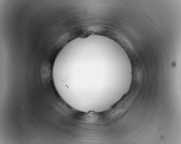 X0000102370328200808151841