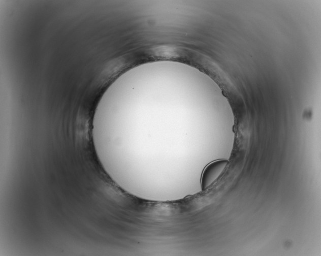 X0000102370330200808151841