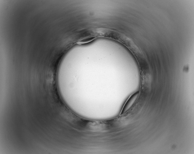 X0000102370331200808151841