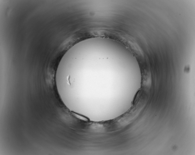 X0000102370332200808151841