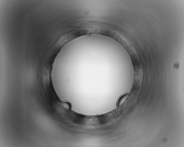 X0000102370333200808151841