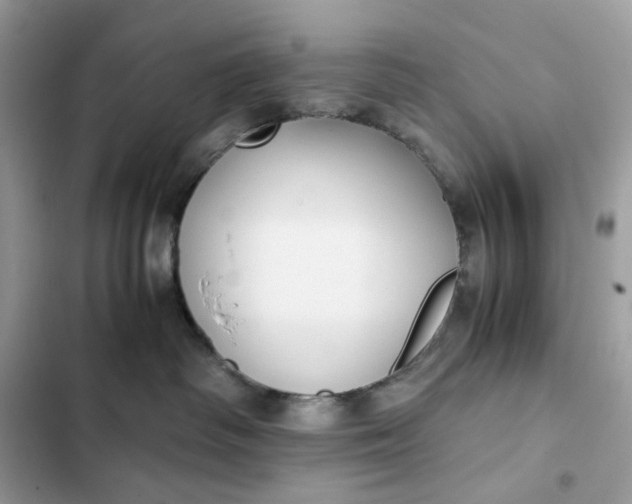 X0000102370334200808151841