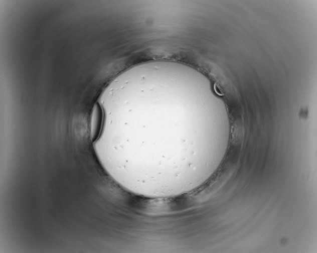 X0000102370335200808151841