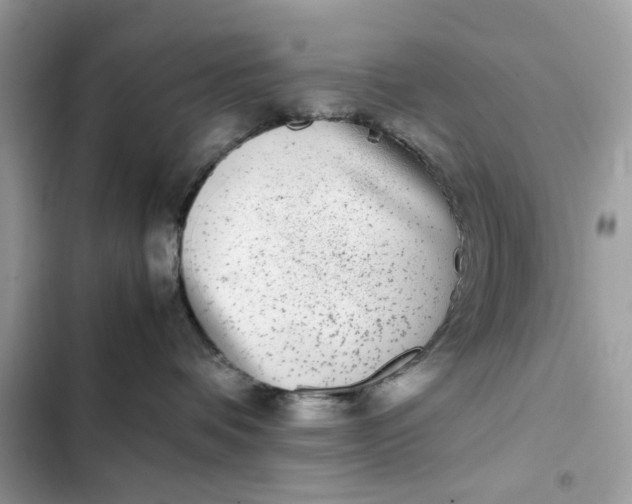 X0000102370336200808151841