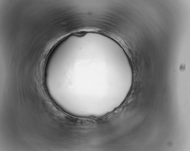 X0000102370337200808151840