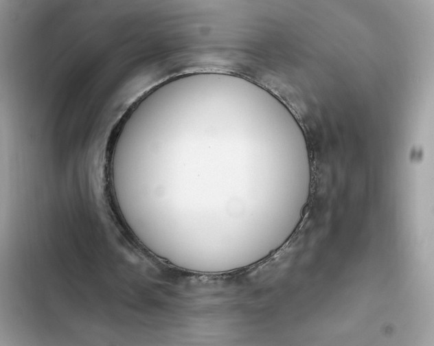 X0000102370338200808151840