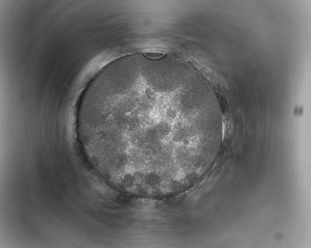 X0000102370339200808151840