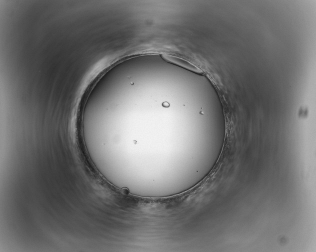 X0000102370340200808151840