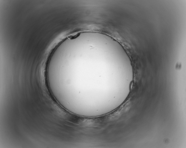 X0000102370341200808151840