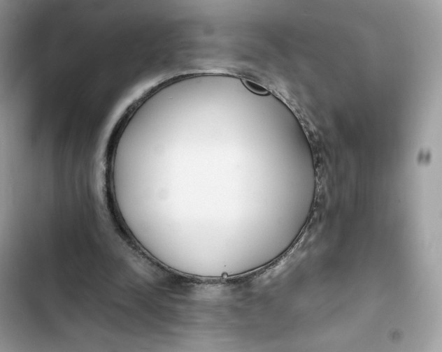 X0000102370342200808151840