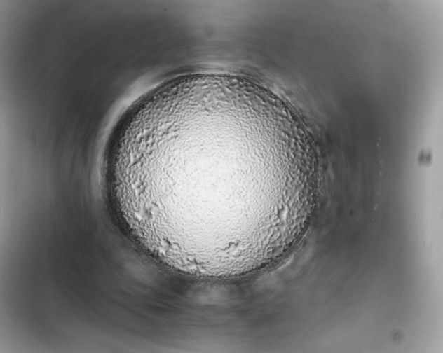 X0000102370343200808151840