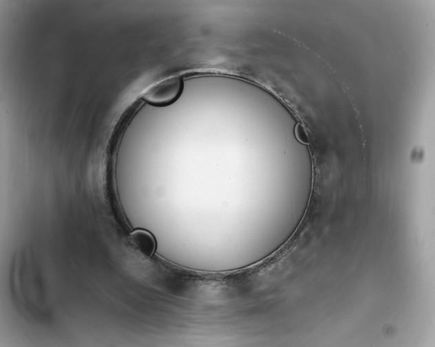 X0000102370344200808151840