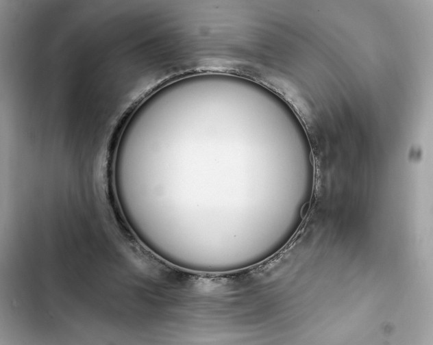 X0000102370346200808151840