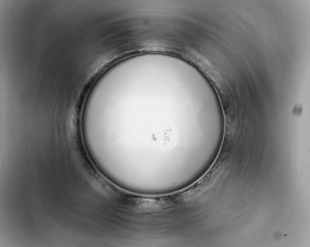 X0000102370347200808151840