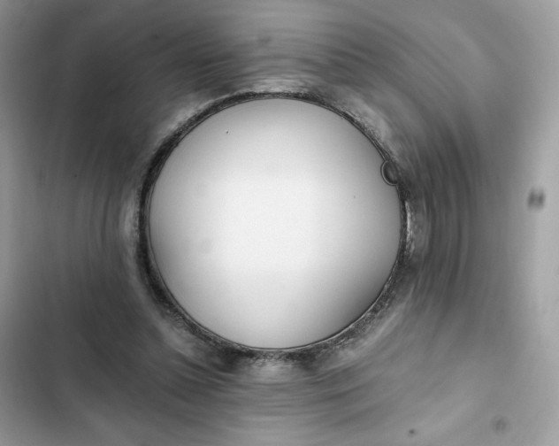 X0000102370348200808151840