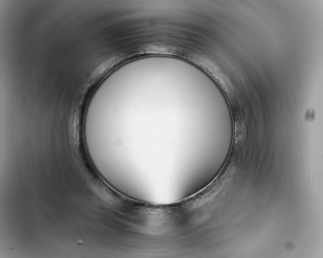 X0000102370349200808151840