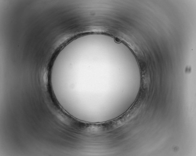 X0000102370350200808151840