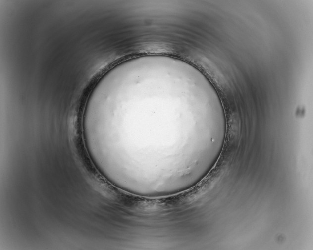 X0000102370351200808151840