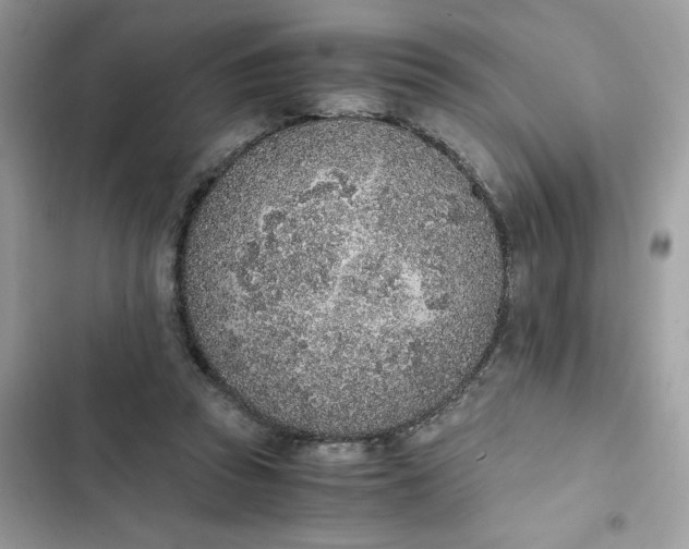 X0000102370353200808151840