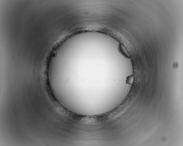 X0000102370354200808151840