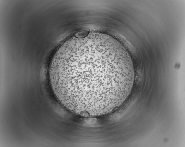 X0000102370355200808151840